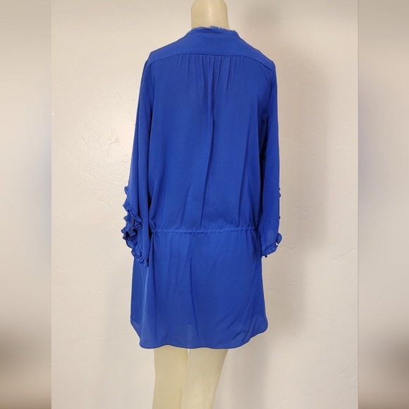Vibrant Blue Ruffle Dress - Picture 3 of 5